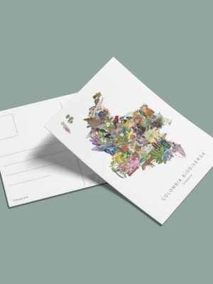 Postal -Mapa Colombia