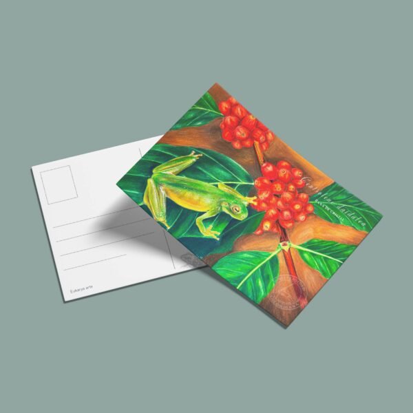 Postal Rana de cristal-Centrolene daidalea