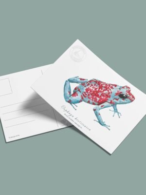 postal-8 Postal Rana dardo arlequin-Oophaga histrionica