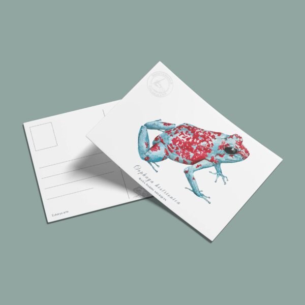 Postal Rana dardo arlequin-Oophaga histrionica