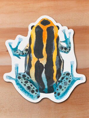 Sticker Rana amazonica-Ranitomeya variabilis