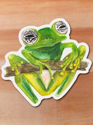 Sticker Rana de cristal-Sachatamia ilex