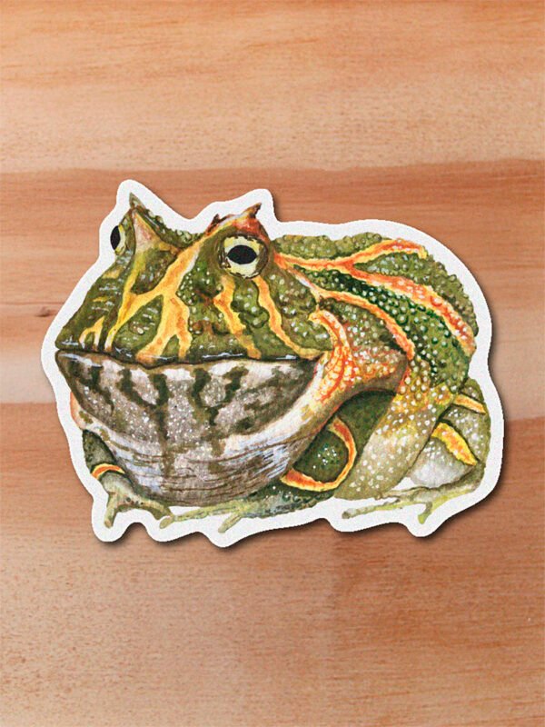 Sticker Rana cornuda-Ceratophrys calcarata