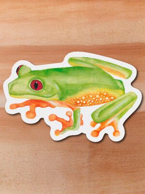 Sticker Rana arboricola-Agalychnis terranova