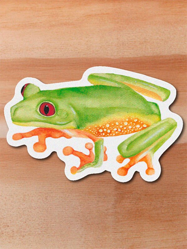 Sticker Rana arboricola-Agalychnis terranova