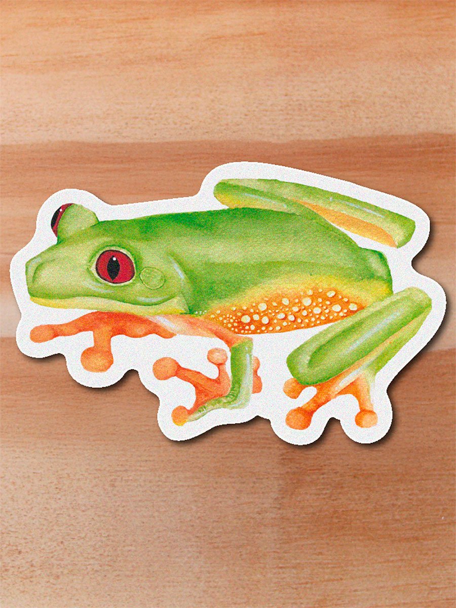Sticker Rana arboricola-Agalychnis terranova