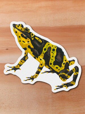 Sticker Rana Arlequin-Atelopus spurrelli