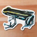 Sticker Dendrobatido-Dendrobates truncatus