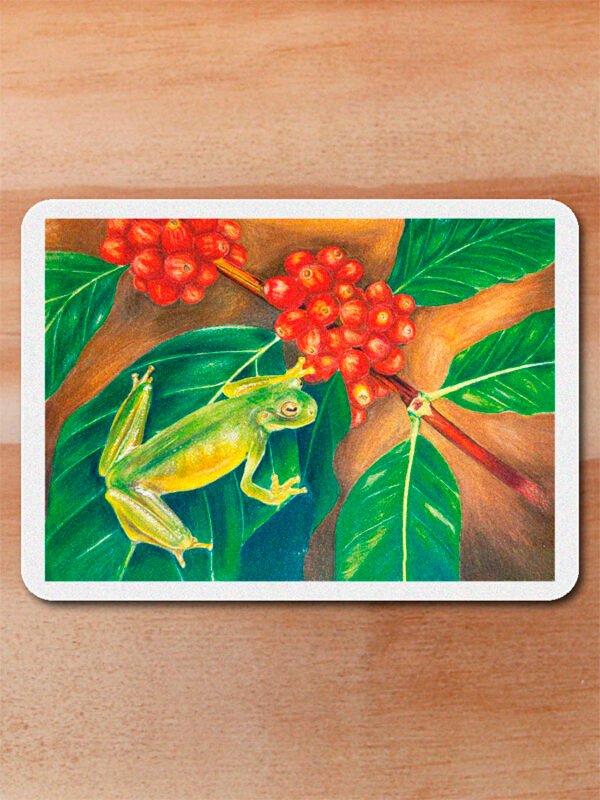 Sticker Rana de cristal-Centrolene daidalea