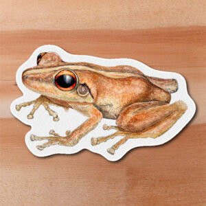 Sticker  Coqui - Eleutherodactylus coqui