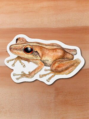 stickers_0011_herpetos-12.png Sticker Coqui - Eleutherodactylus coqui
