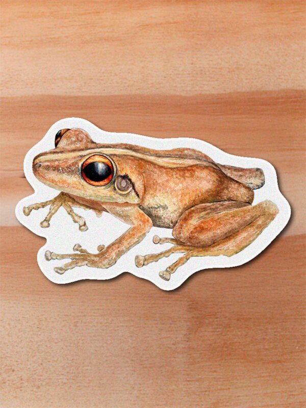 stickers_0011_herpetos-12.png Sticker Coqui - Eleutherodactylus coqui