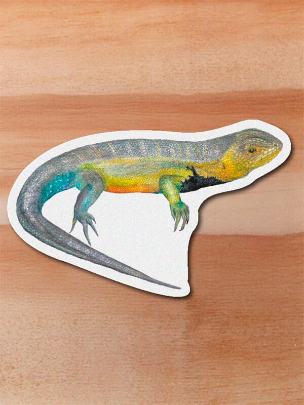 Sticker Lagarto collarejo-Stenocercus lache