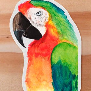 Sticker Guacamaya - Ara Macao
