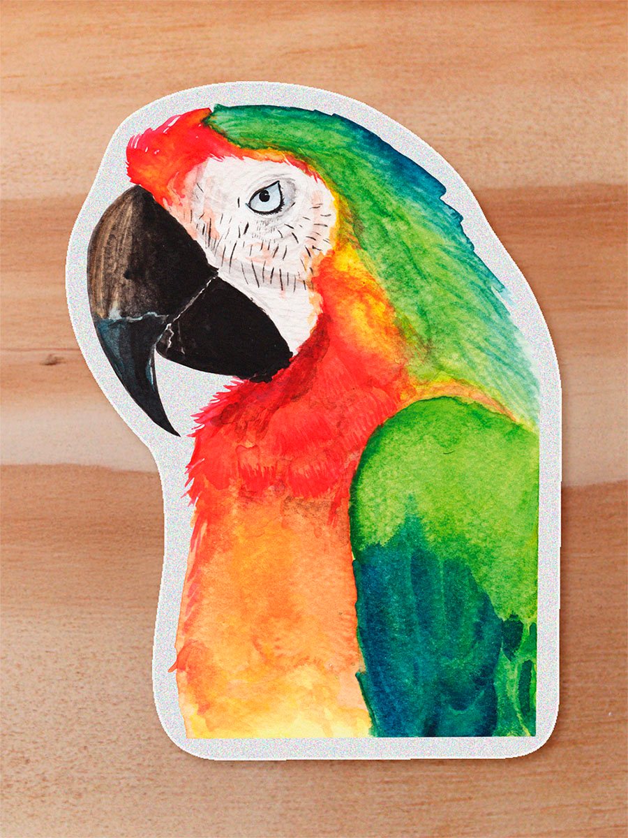 Sticker Guacamaya - Ara Macao