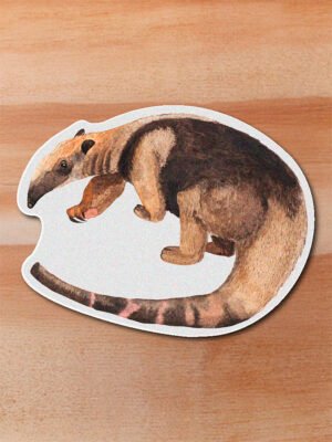 Sticker Oso hormiguero-Tamandua mexicana