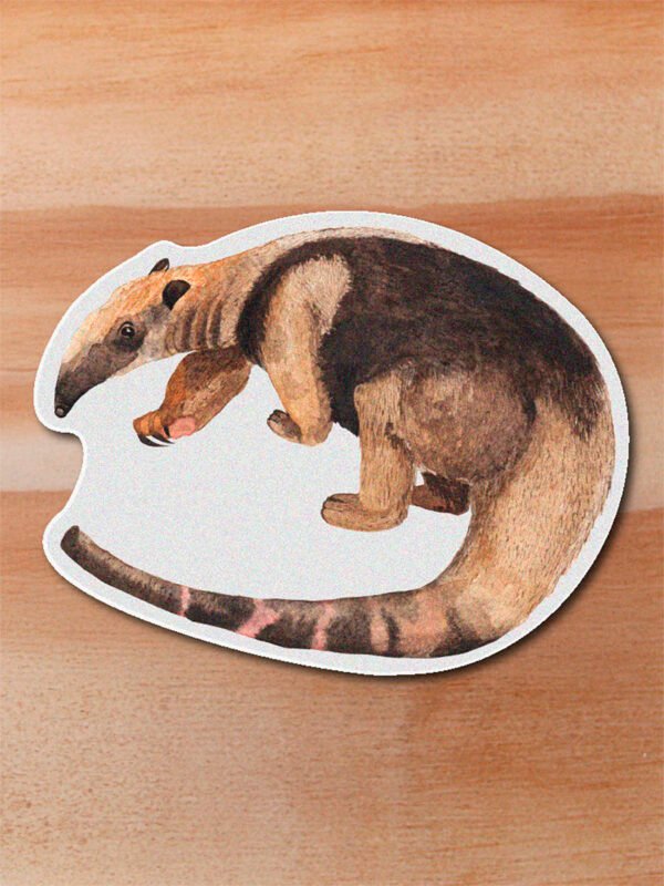 Sticker Oso hormiguero-Tamandua mexicana