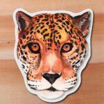 Sticker Jaguar-Panthera onca
