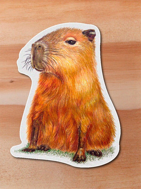 Sticker Chiguiro-Hydrochoerus hydrochaeris