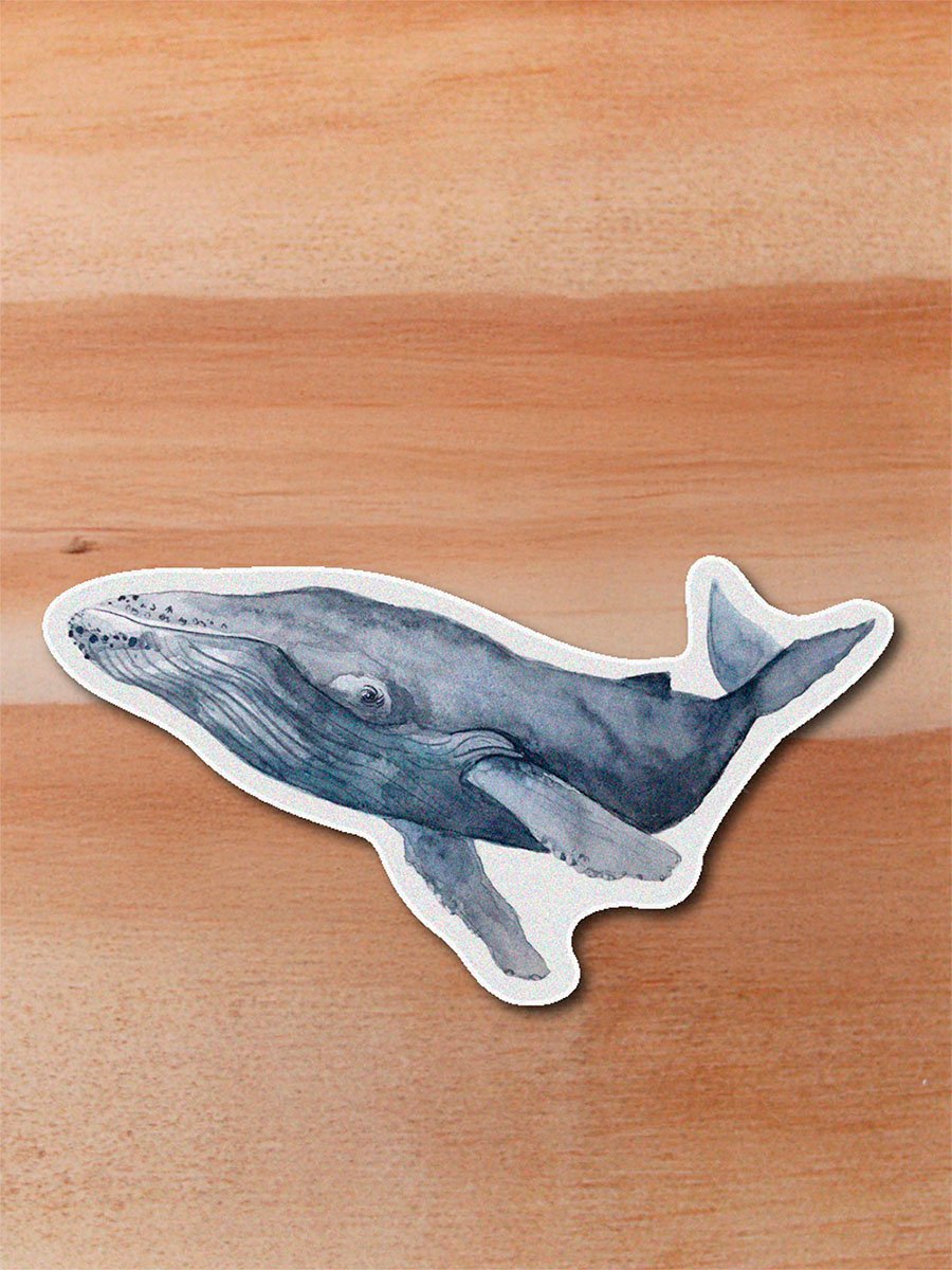 stickers_0045_mamiferos-06.png Sticker Ballena jorobada-Megaptera novaeangliae