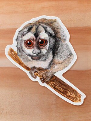 Sticker Mono nocturno-Aotus lemurinus
