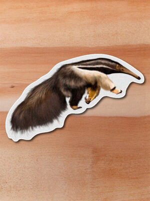 Sticker Oso palmero-Myrmecophaga tridactyla