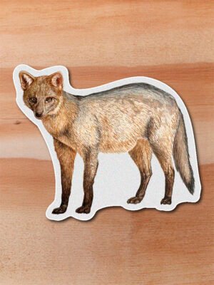 Sticker Zorro perro-Cerdocyon thous