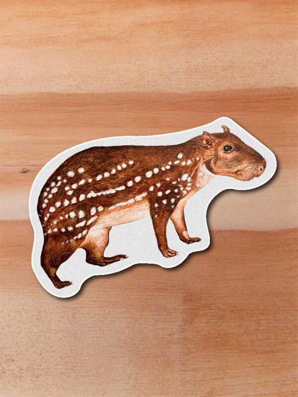 stickers_0051_mamiferos-12.png Sticker Paca-Cuniculus paca