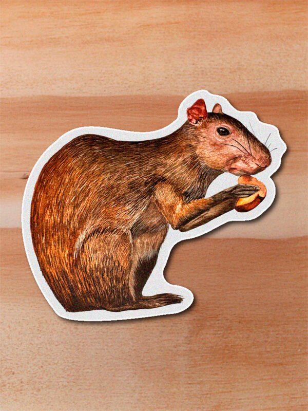Sticker Ñeque-Dasyprocta punctata