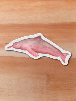 Sticker Dalfín rosado-Inia geoffrensiss
