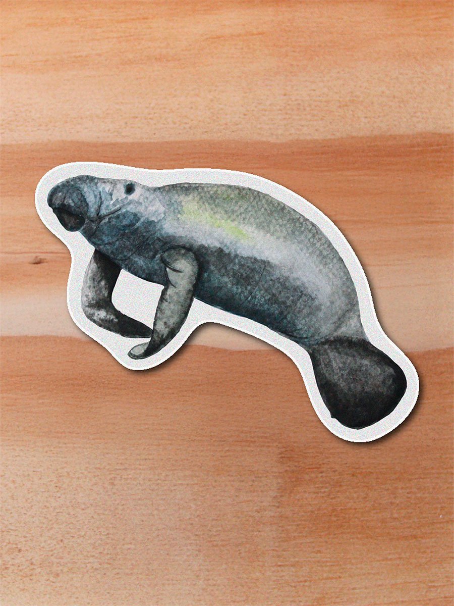 Sticker ManatÍ-trichechus manatus