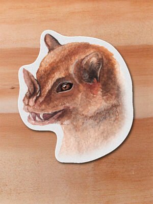 Sticker Murcielago-Artibeus jamaicensis