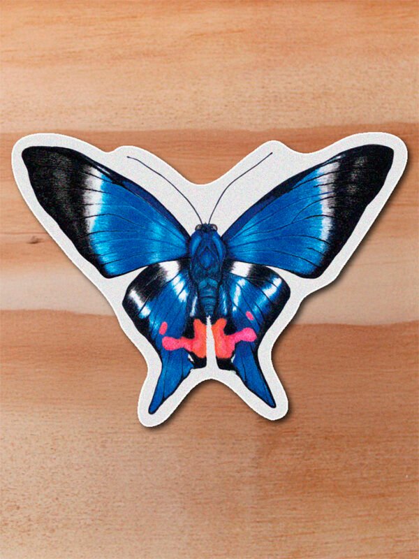 Sticker Mariposa doctor azul-Rethus dysonii