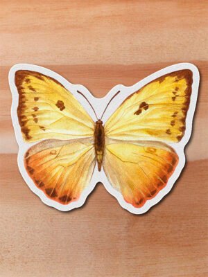 Sticker Mariposa azufre-Phoebis philea