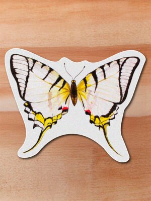 Sticker Mariposa-Protesilaus protesilaus