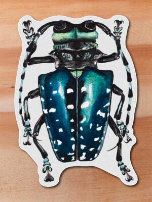 Sticker Escarabajo azul-Coleoptero