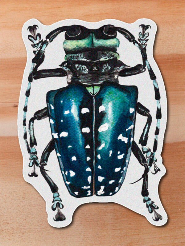 Sticker Escarabajo azul-Coleoptero