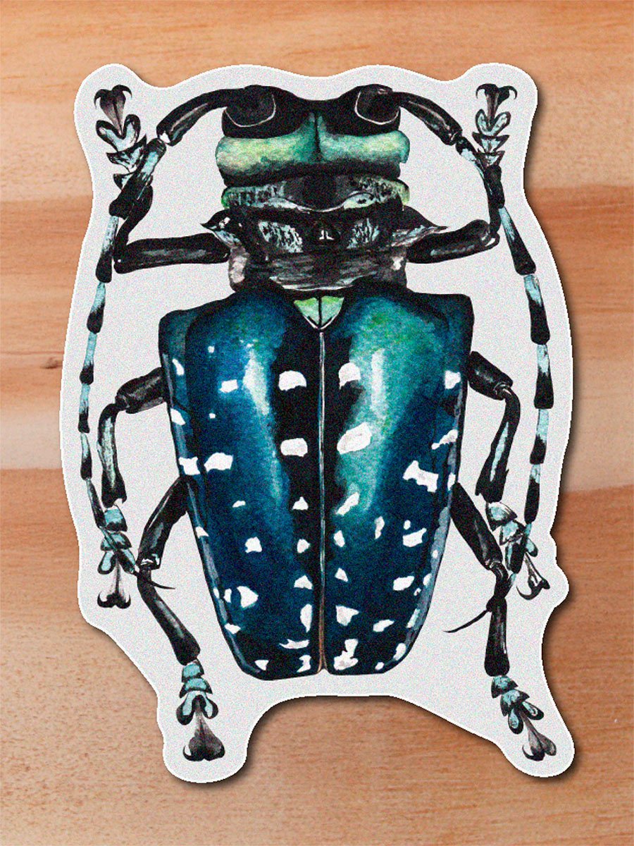 Sticker Escarabajo azul-Coleoptero