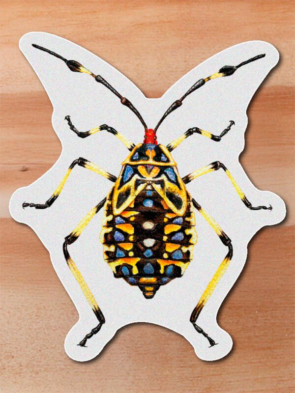 Sticker Ninfa de chinche - Thasus acutangulus