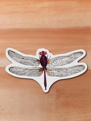 Sticker Libelula-Odonata