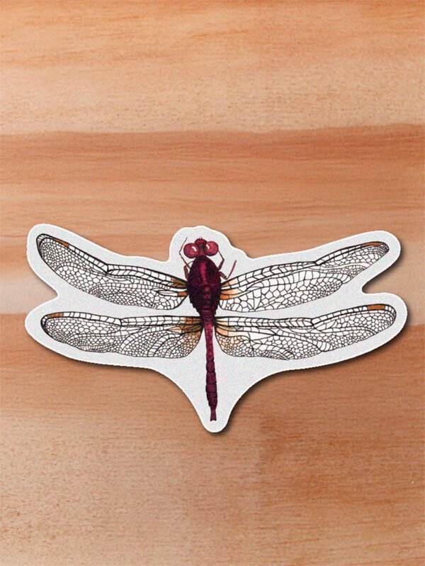 Sticker Libelula-Odonata