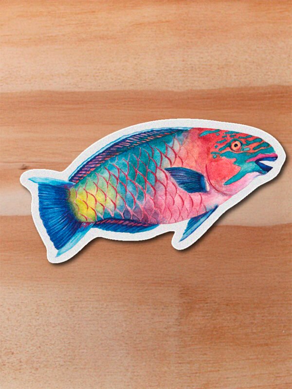 Sticker Pez Loro-Scarus taeniopterus