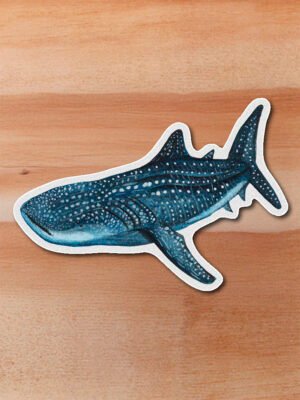 Sticker Tiburon ballena-Rhincodon typus