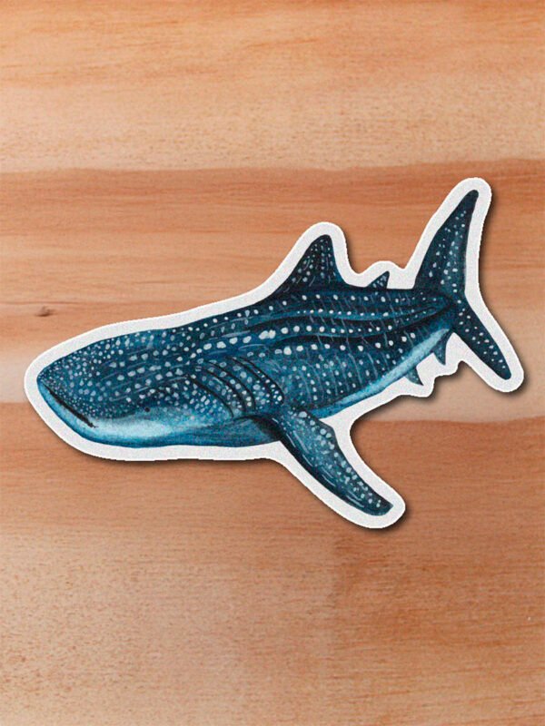 stickerss_0002_pecesymas-03.png Sticker Tiburon ballena-Rhincodon typus