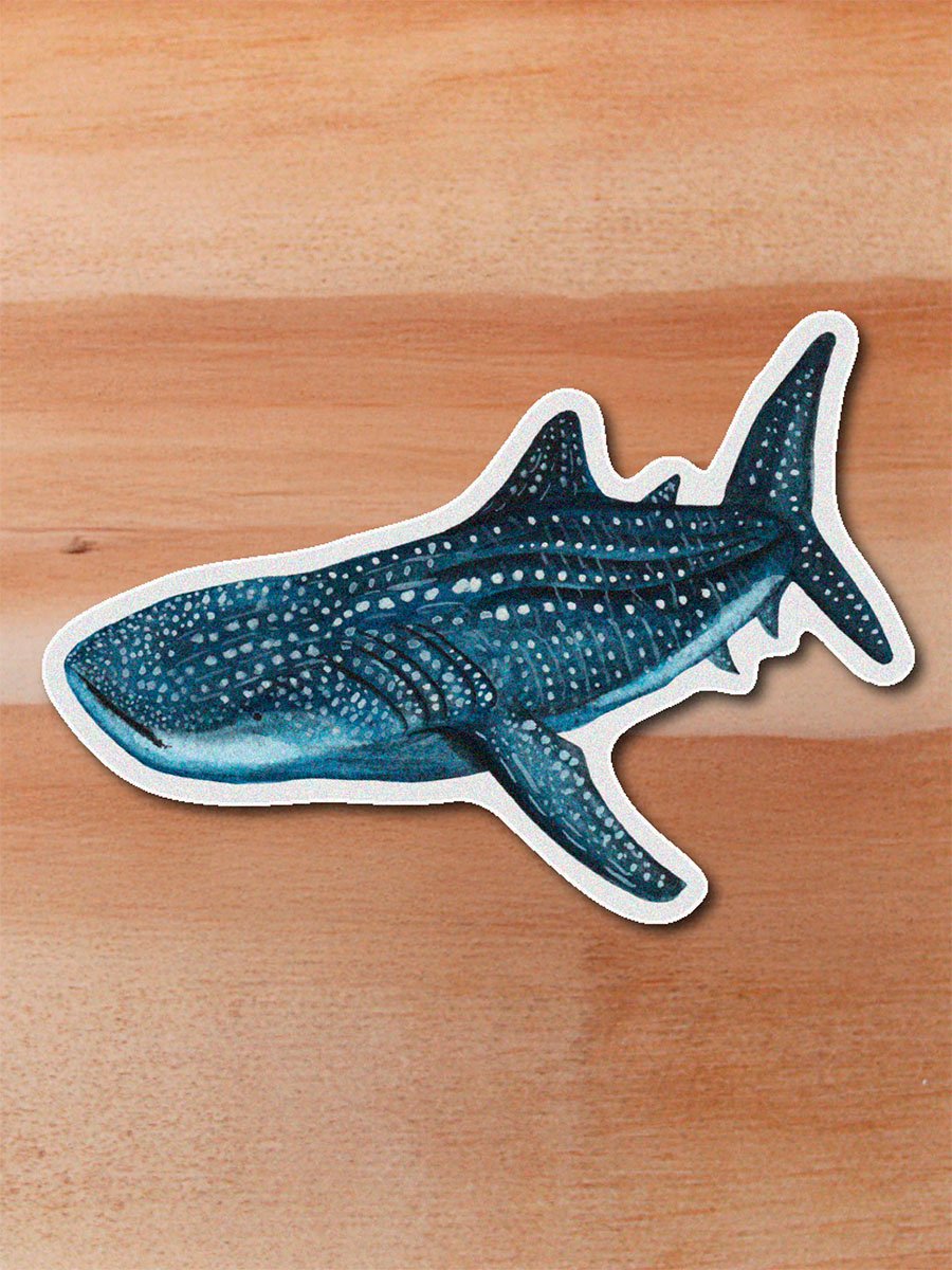 Sticker Tiburon ballena-Rhincodon typus