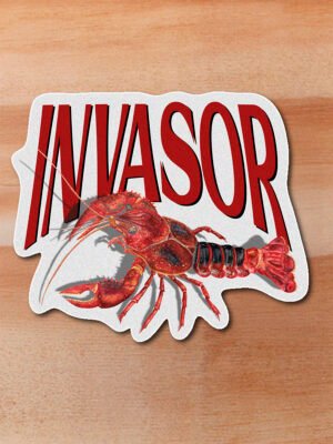 Sticker cangrejo rojo americano -Procambarus clarkii (INVASOR)