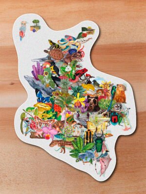 Sticker -Mapa Colombia