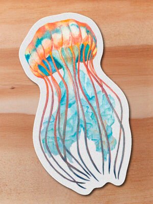 Sticker Medusa - Chrysaora quinquecirrha