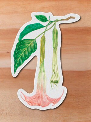 Sticker Borrachero-Brugmansia arborea