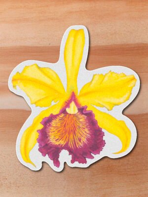 Sticker Orquidea-Cattleya dowiana